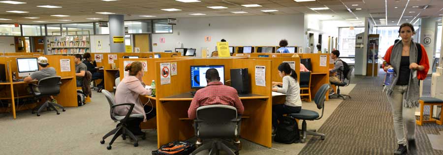 Students studying at carrels in the W. W. Hagerty Library.