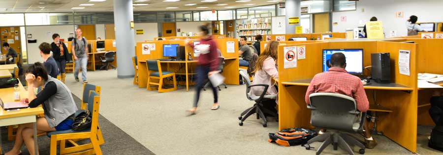 Students studying at carrels on the ground floor of W. W. Hagerty Library.